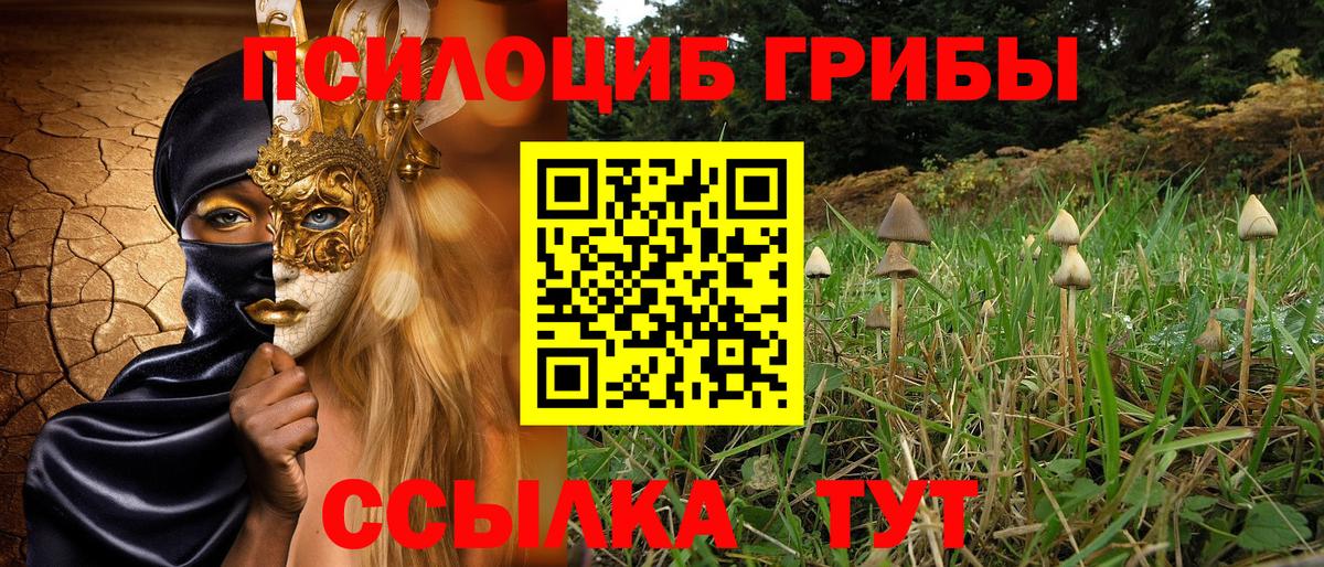 Новосибирск  Псилоцибиновые грибы Cubensis  купить   Вход с VPN 